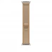 Часы Apple Watch Ultra 4 49mm Natural Titanium Case with Sand Trail Loop