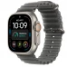 Часы Apple Watch Ultra 4 49mm Natural Titanium Case with Translucent Black Ocean Band