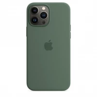 Чехол для iPhone 13 Pro Apple AA Silicone Case - Eucalyptus Чехол для iPhone 13 Pro Apple AA Silicone Case - Eucalyptus