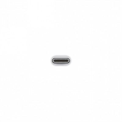 Адаптер Apple USB-C to USB Adapter