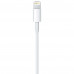 Кабель Apple Lightning to USB Cable (0.2 m)