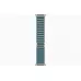Часы Apple Watch Ultra 3 49mm Natural Titanium Case with Light Blue Alpine Loop