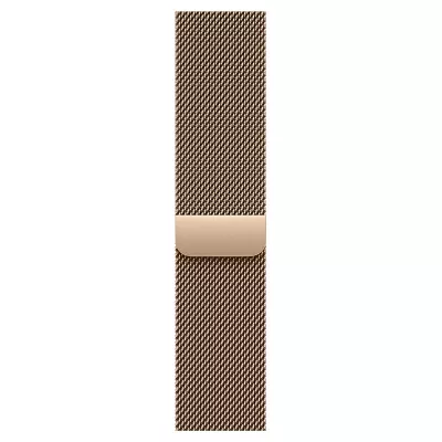 Часы Apple Watch Series 11 42mm Gold Titanium case with slate Milanese loop Часы Apple Watch Series 11 42mm Gold Titanium case with slate Milanese loop